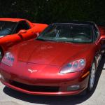 StElizabeth_008 (June 16, 2017)